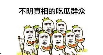 我就是一个吃瓜群众,网络时代的旁观者与参与者