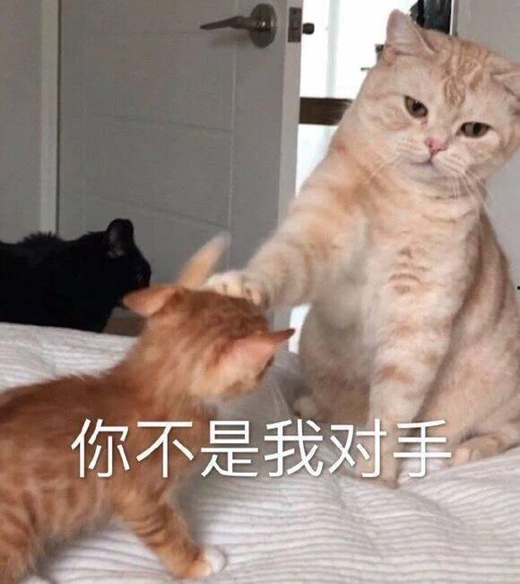 傲人表情包